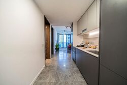 The M (D7), Apartment #540221281